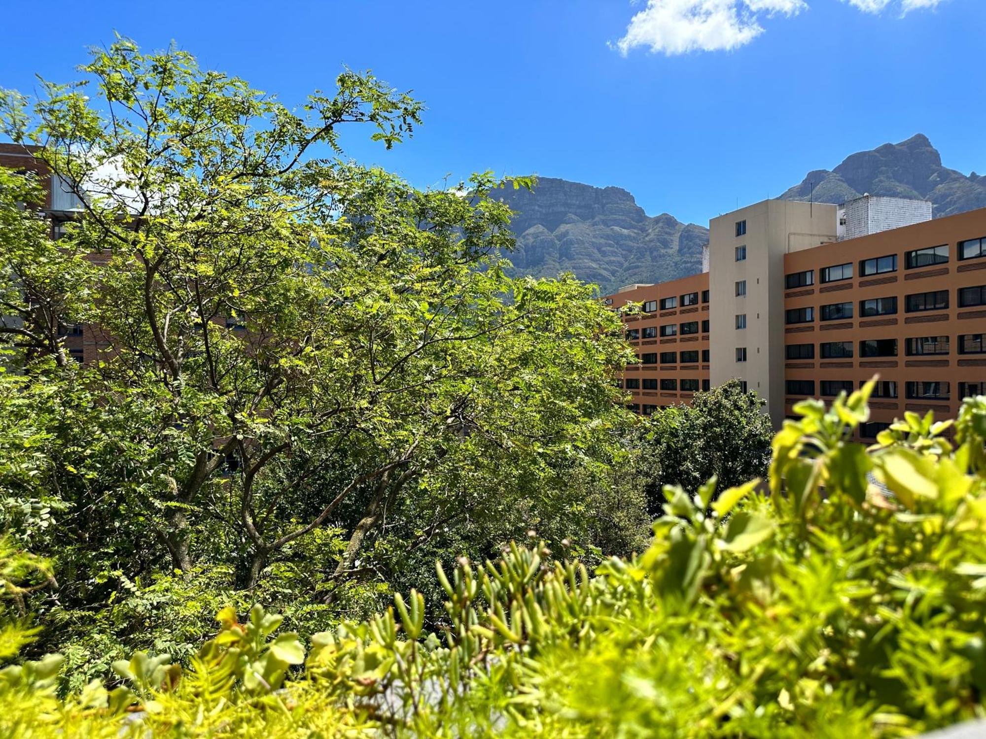 Newlands Peak Apartments Кейптаун Екстериор снимка